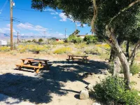 C2- Spotless Designer King Suite Home with View