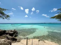 New Oceanfront Apartment Mangel Halto — Laguna Vista Hotels in Pos Chiquito