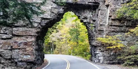 Charming 2-bedroom house with WiFi, AC in wonderful Shady Valley Отели в г. Джонсон