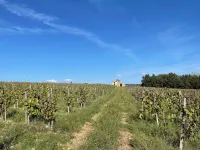 Renovated farmhouse in the South Luberon countryside - 14 pers 페르투이 호텔