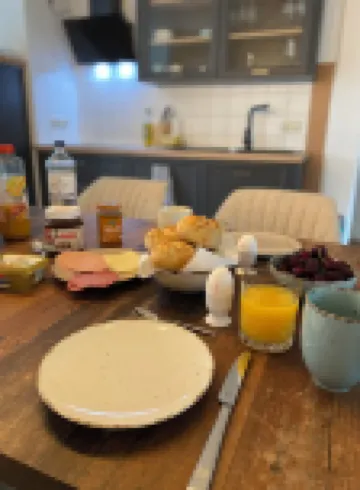 Newly renovated and cozy apartment. Pet friendly!