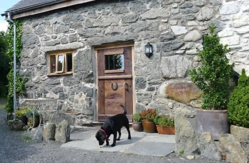 Ty Beic Country Apartments, The Stable