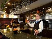 Hotel Bavaria Brehna - bar