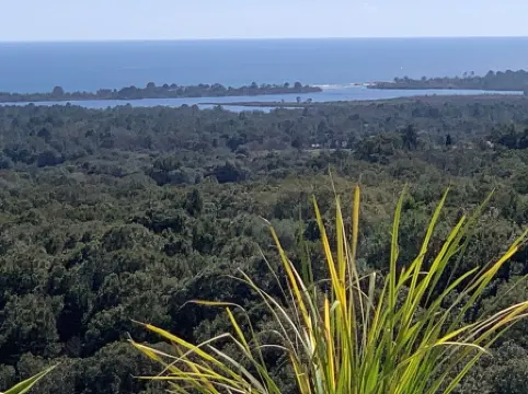 Appartement Avec Grande Terrasse vue mer et Maquis