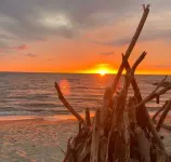 톨루로의 탈출 - 아름다운 아파트먼트  호텔