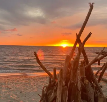 逃往託盧 - 漂亮的公寓