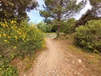 Villa Taiado Classified  Privatized with Swimming Pool in the Heart of Luberon