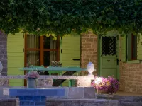 Authentic Dalmatian Treasure Homes
