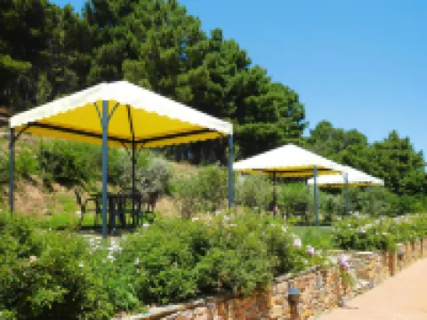 Estate in Monte Serra with Pool & Olive Trees Hotels in Buti