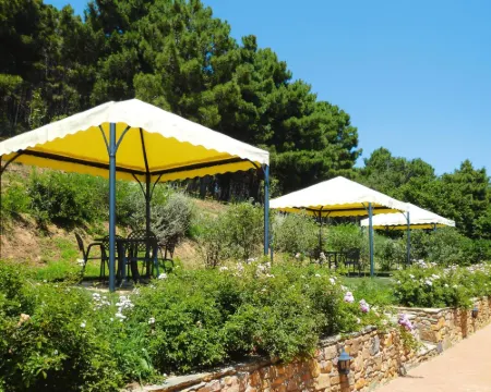 Estate in Monte Serra with Pool & Olive Views Hotels in Buti