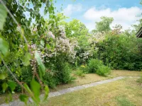 6 Person Holiday Home in Højby-by Traum - 2-Star