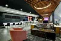 The Rose Hotel Chicago O’Hare, Tapestry Collection by Hilton - Pet friendly