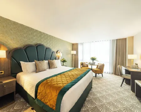 薩弗伊酒店 利莫瑞克酒店