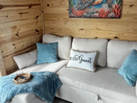 Charming 2-bedroom PET FRIENDLY cabin in Steinhatchee Hotels in Steinhatchee