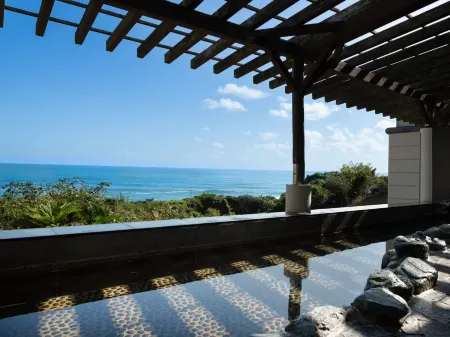 Hotel New Hakuaki Отели в г. Хитатинака