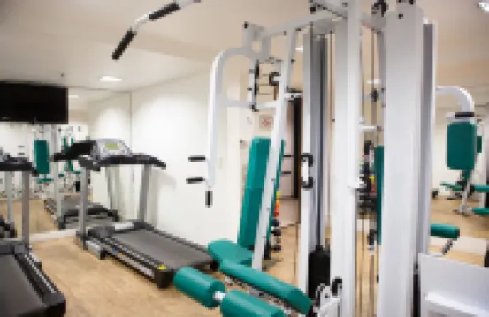 Royal Collection Paulista