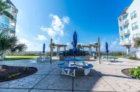 Beautiful Blue Heron Sleeps 6 Great Views