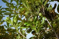 Giardino Tropicale, eco-friendly, private pools