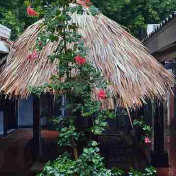 Managua Hotel Oasis Hotel Exterior