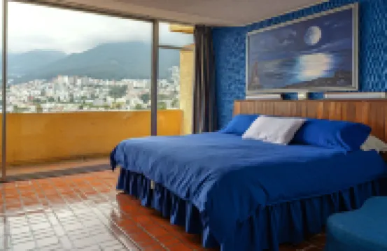 Hotel Savoy Inn Hotels near Bicentenario Park