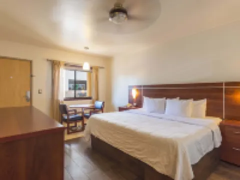 ホテル サン セバスティアン エルモシージョのホテル