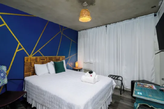 Vieques Tropical Guest House