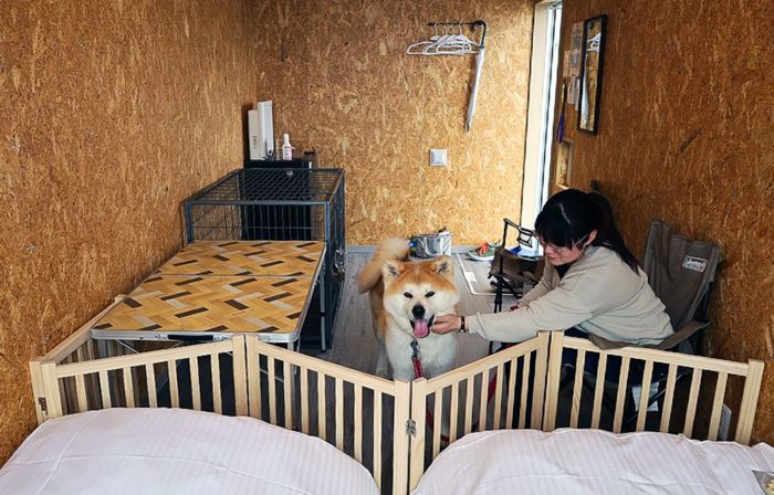 Sakatanto Container Hotel Camps