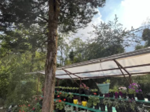 Ifseen Villa Hotels in Pelling