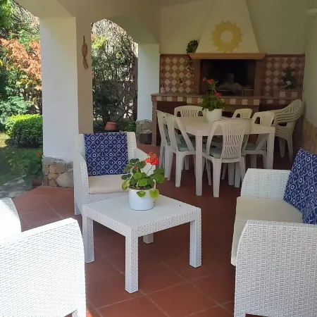 La Mimosa