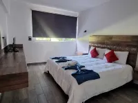 Hotel Los Leones فنادق في بالينكي