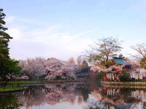 鎌倉公園飯店