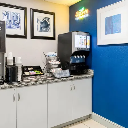 Microtel Inn & Suites by Wyndham Greenville / Woodruff Rd