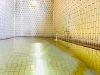 Nasu Palace Hotel - Hot Springs