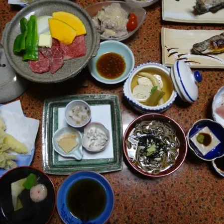 Shitajima Onsen Senyukan