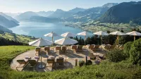 Hotel Villa Honegg - spa