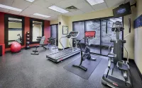 Hampton Inn and Suites by Hilton Windsor - Gym