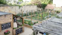 The Bull and Swan - Pet friendly
