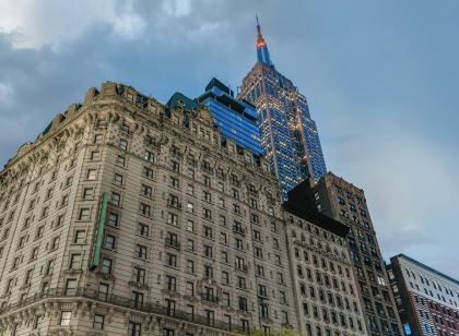 Martinique New York on Broadway, Curio Collection by Hilton