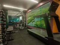 Ibis Styles Belem Batista Campos - gimnasio