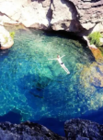 Forest House Casinha do Carvalhal