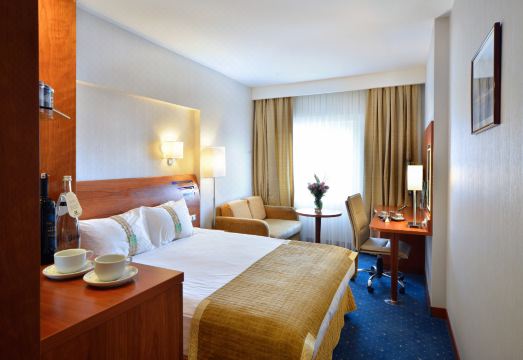 Holiday Inn Istanbul City Hotel Overview