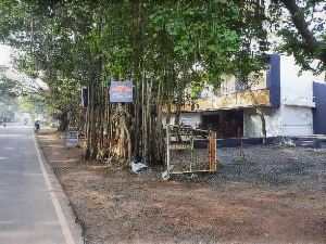 The Banyan Shelters