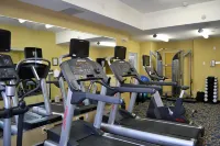 Holiday Inn Express & Suites EDSON by IHG - Gym