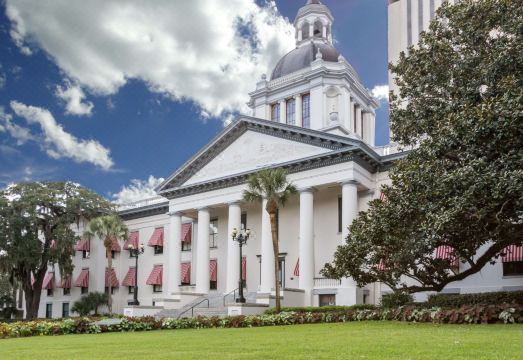 4. 데이즈 인 & ..