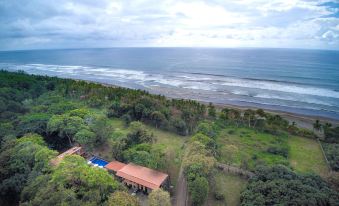 aerial view of a beach and ocean with a house on the shore , surrounded by trees at Hotel Playa Bejuco
