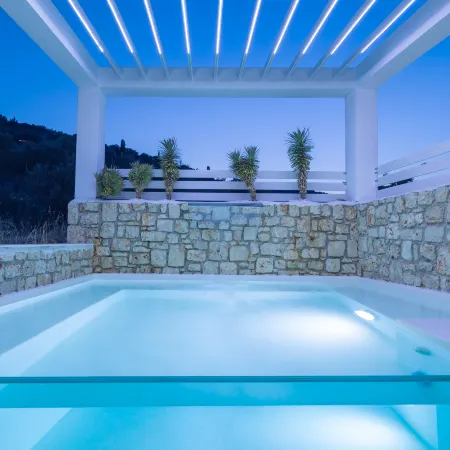 Dion Villa Zakynthos Greece One Bedroom Villa with Private Pool No01 Hotels in Elation