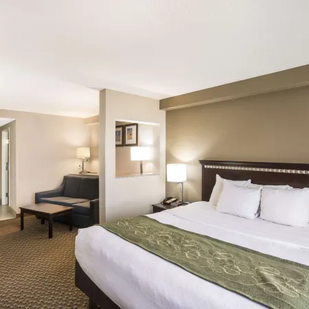 Comfort Suites Forsyth near I-75
