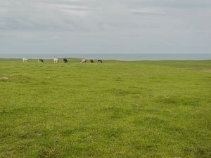 Corsewall Castle Farm Lodges