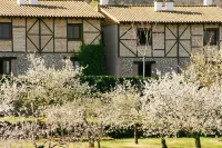 Apartamentos Rurales El Canchal de la Gallina - Jacuzzi en Privado - Parking Gratuito