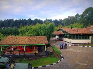 Le Bambou Gorilla Lodge